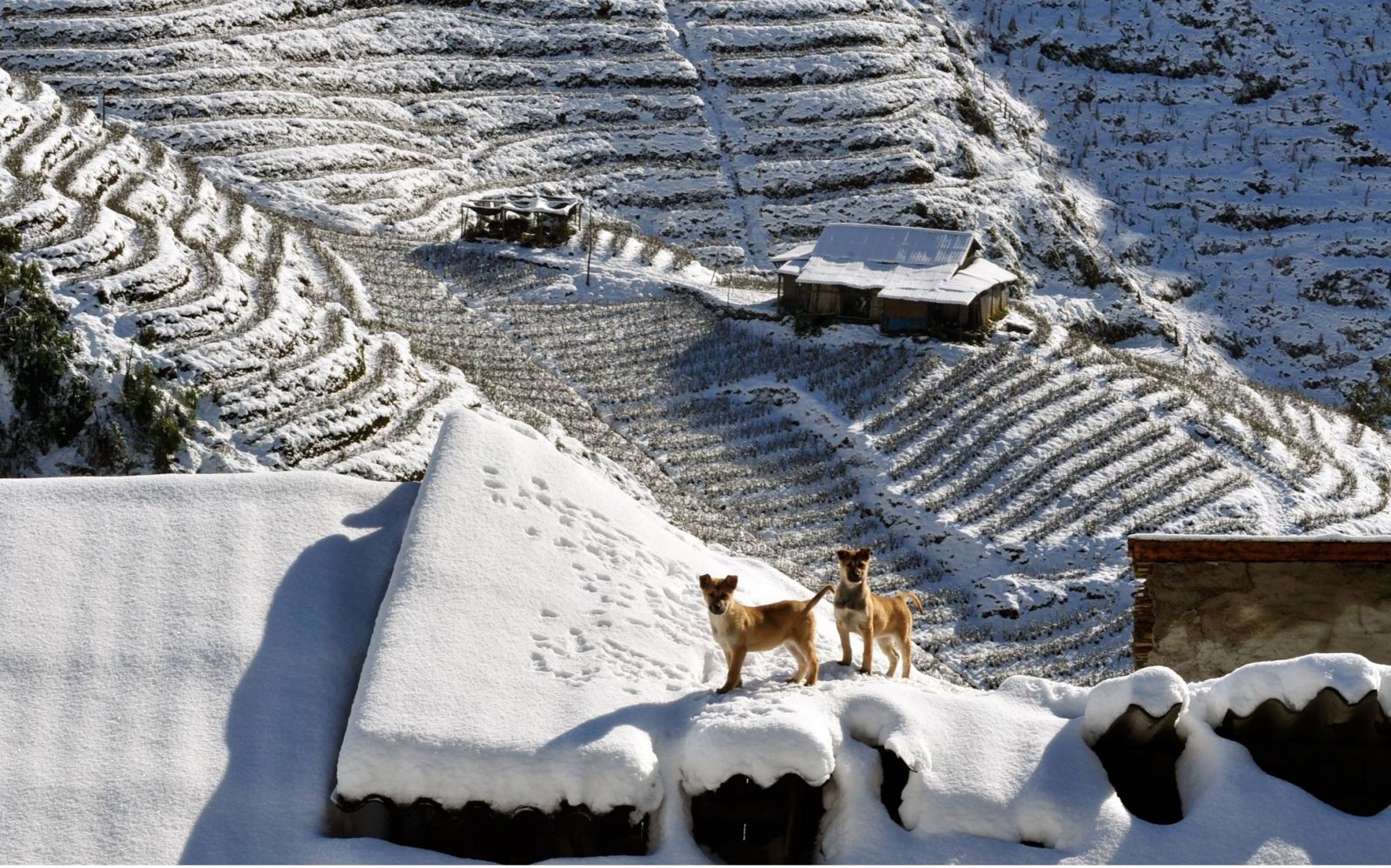 What to Expect in Vietnam in December? 2