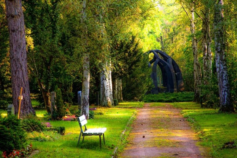 beautiful garden