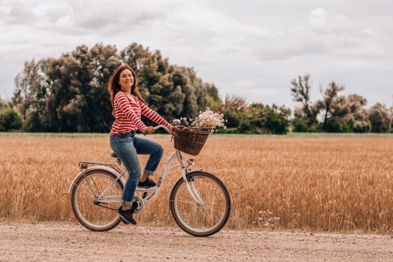 active adult bicycle 1479584