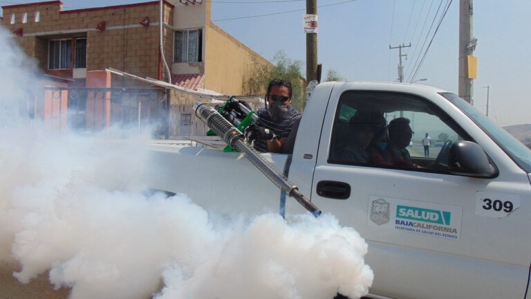 Termite fumigation