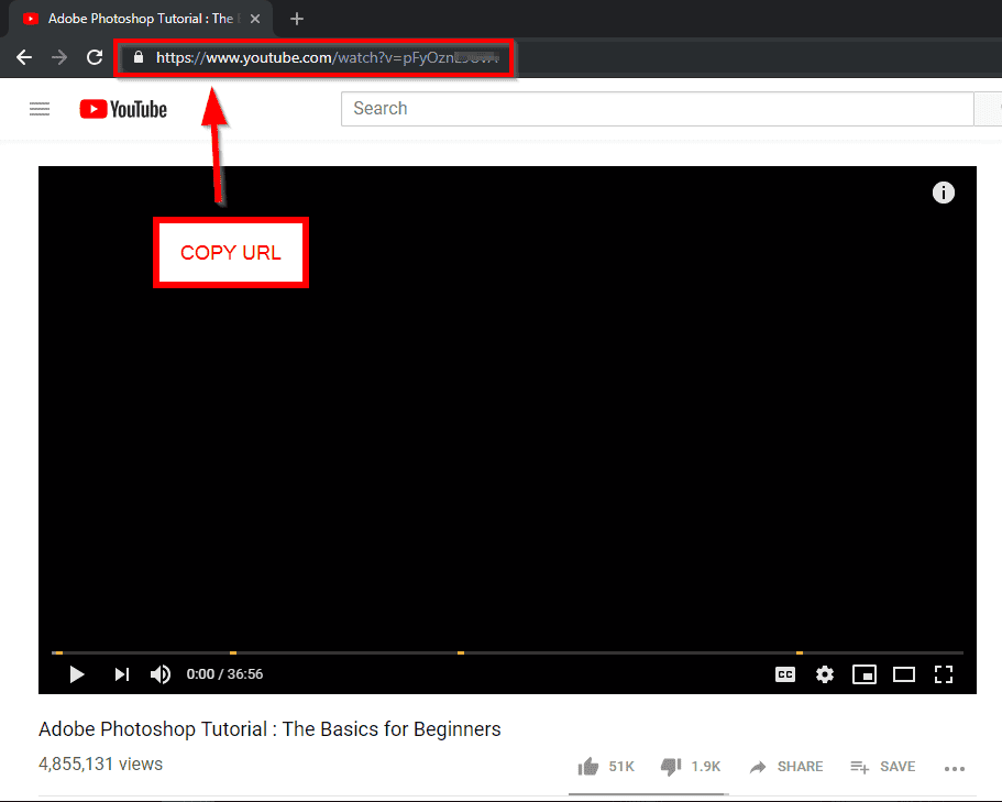 The Most Effective Way to Download YouTube Playlist 5 youtube site copy