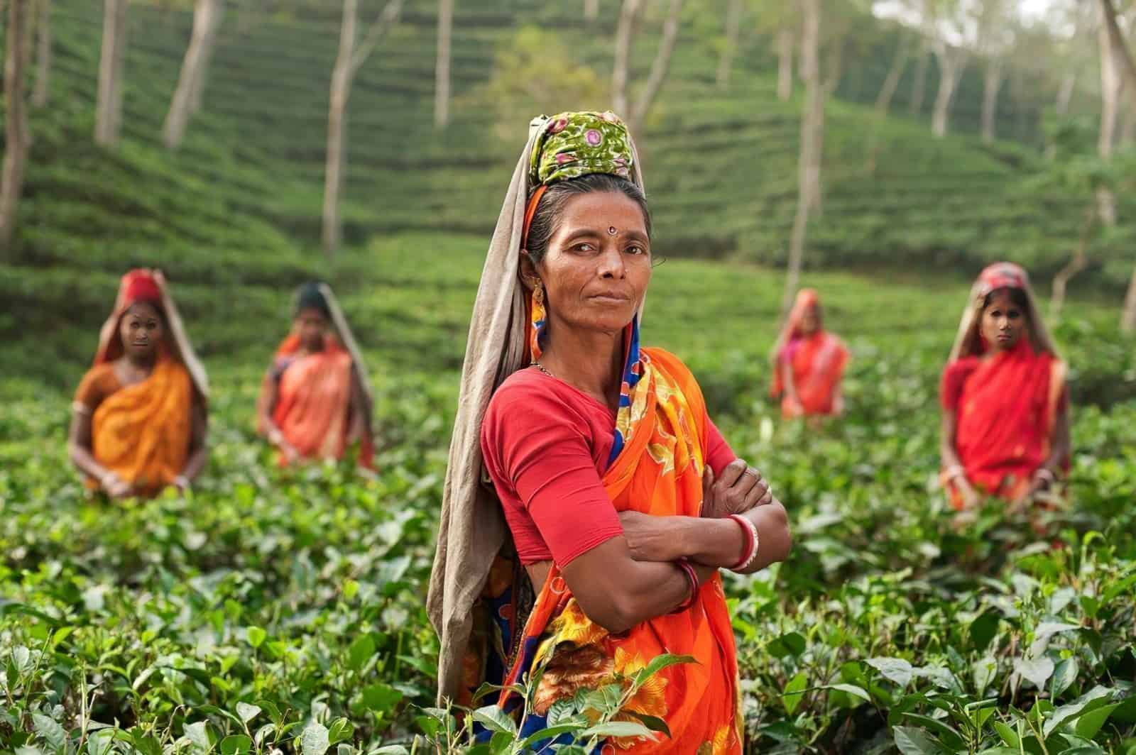 woman in india standing in tea plantation