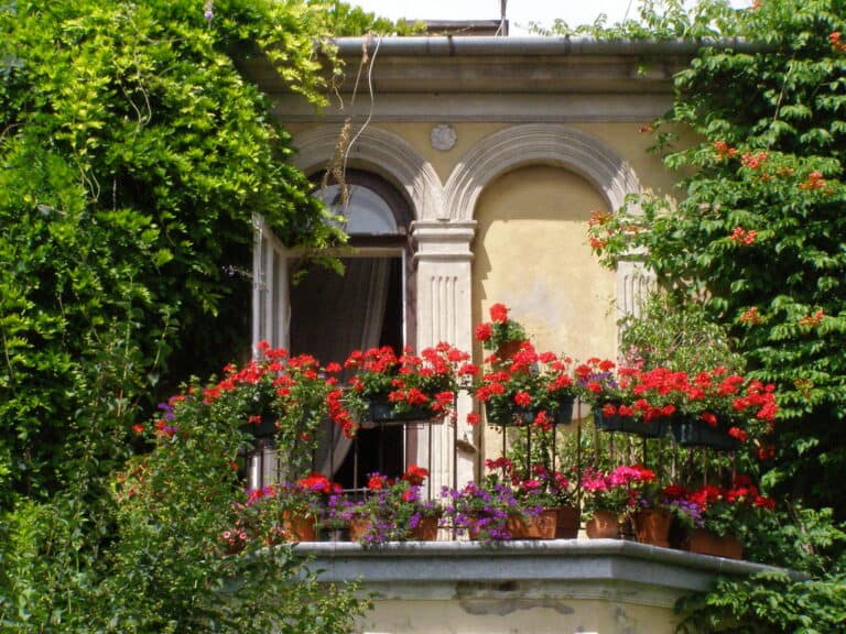 balcony garden