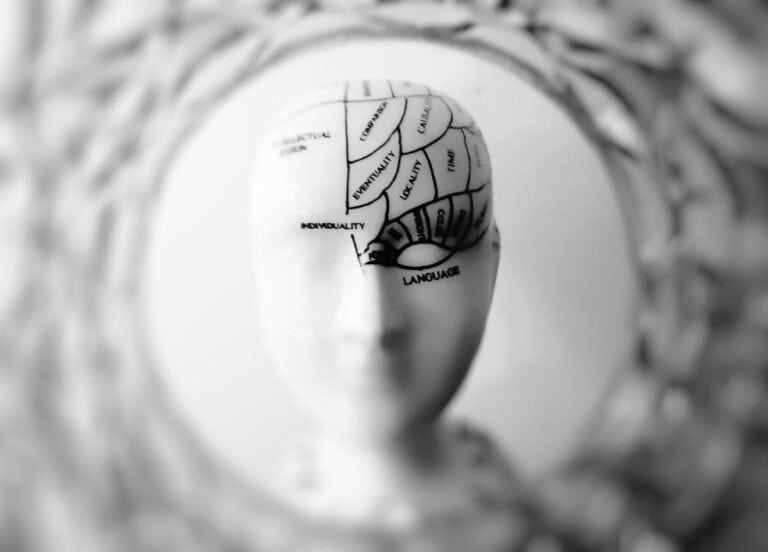 map of the mind