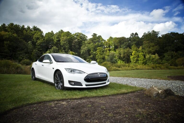 white car in nature