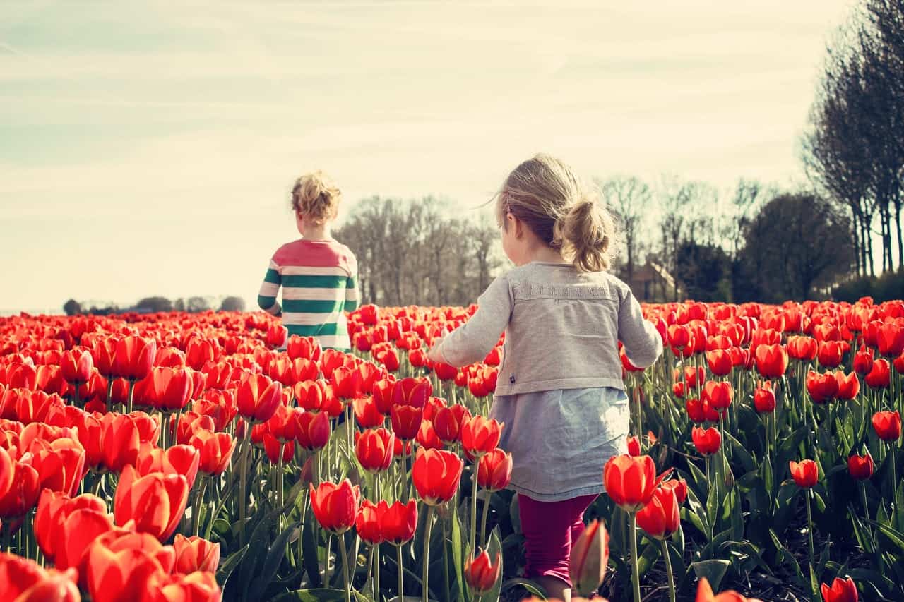 children field of flowers tulips