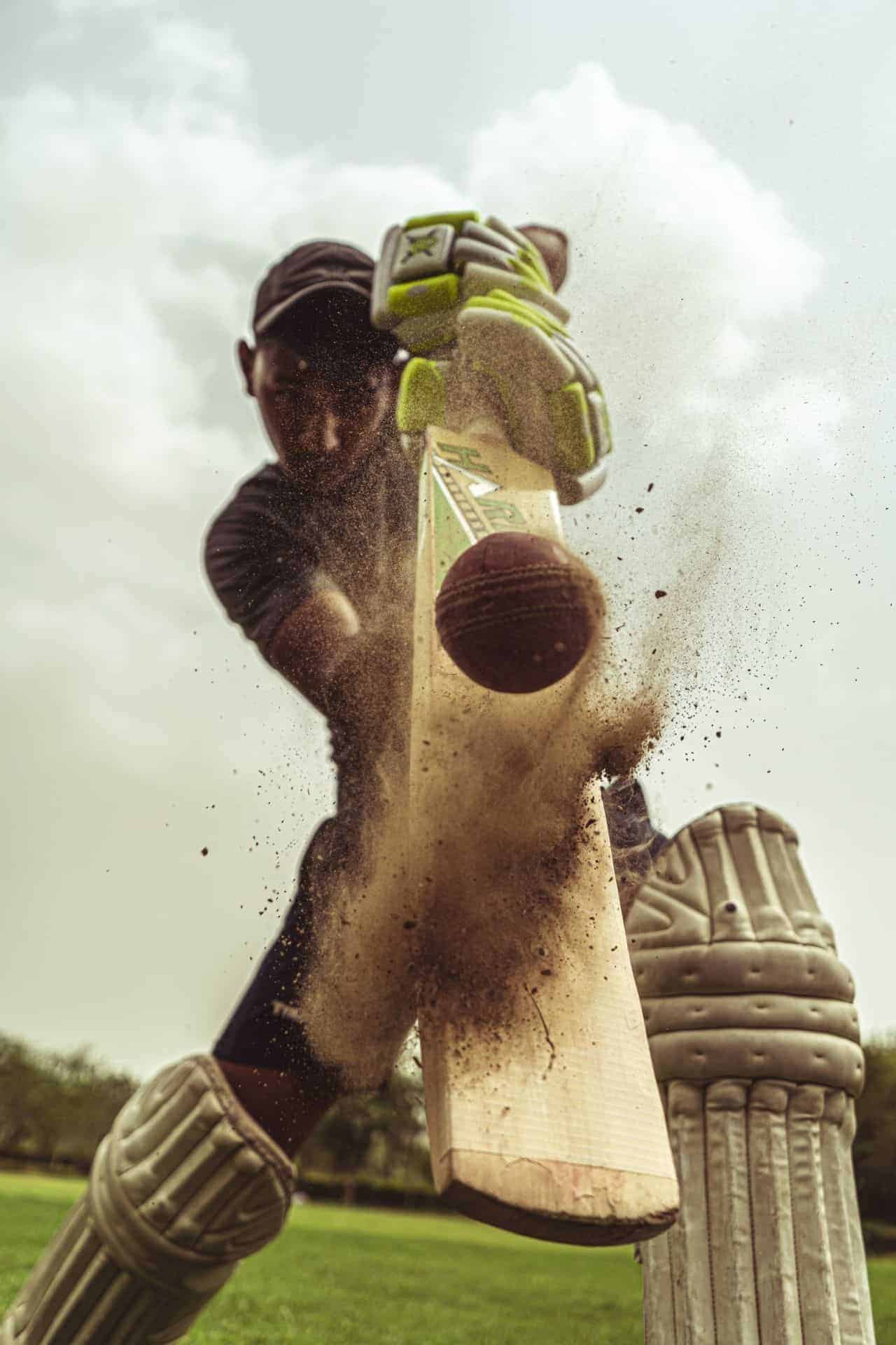 person playing cricket