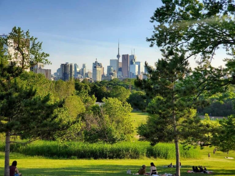 Tornoto park picnic