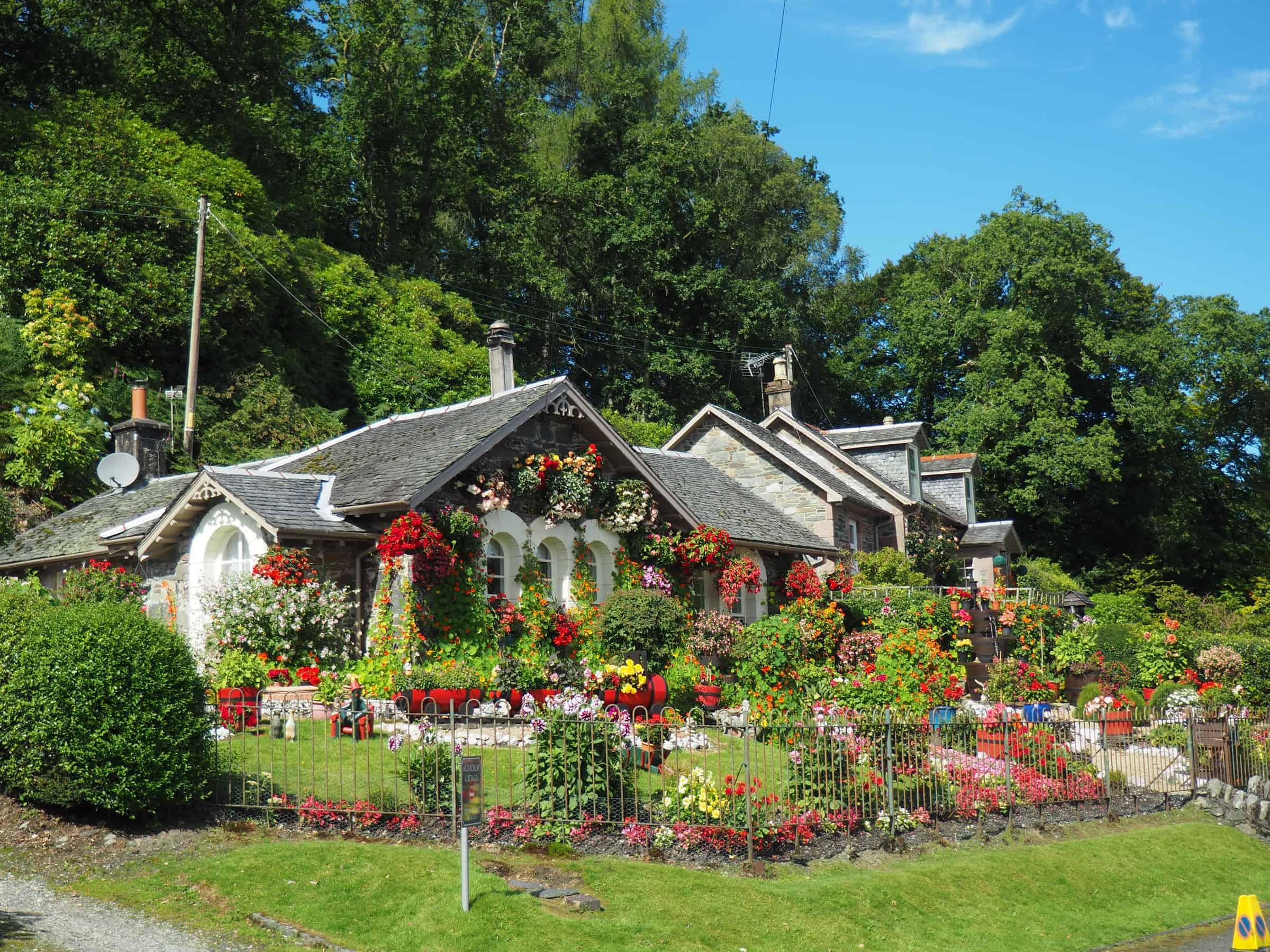 beautiful home flower garden