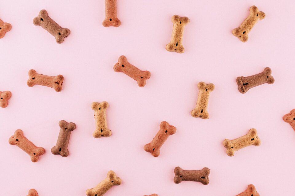 Homemade Dog Treats: 5 Easy and Nutritious Recipes Your Dog Will Love 2 liver and peanut butter dog treats