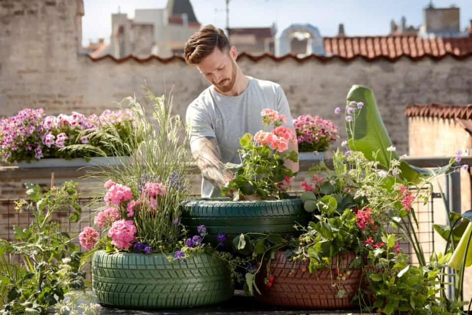 man gardening caring for plants