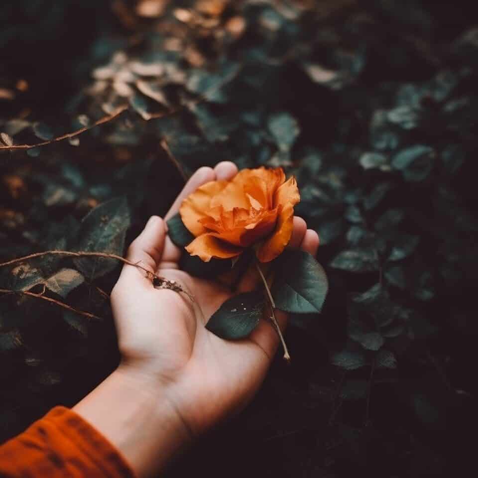 How To Be Vulnerable Without Being Needy: Finding Inner Strength To Succeedy 3 How To Be Vulnerable Without Being Needy 3