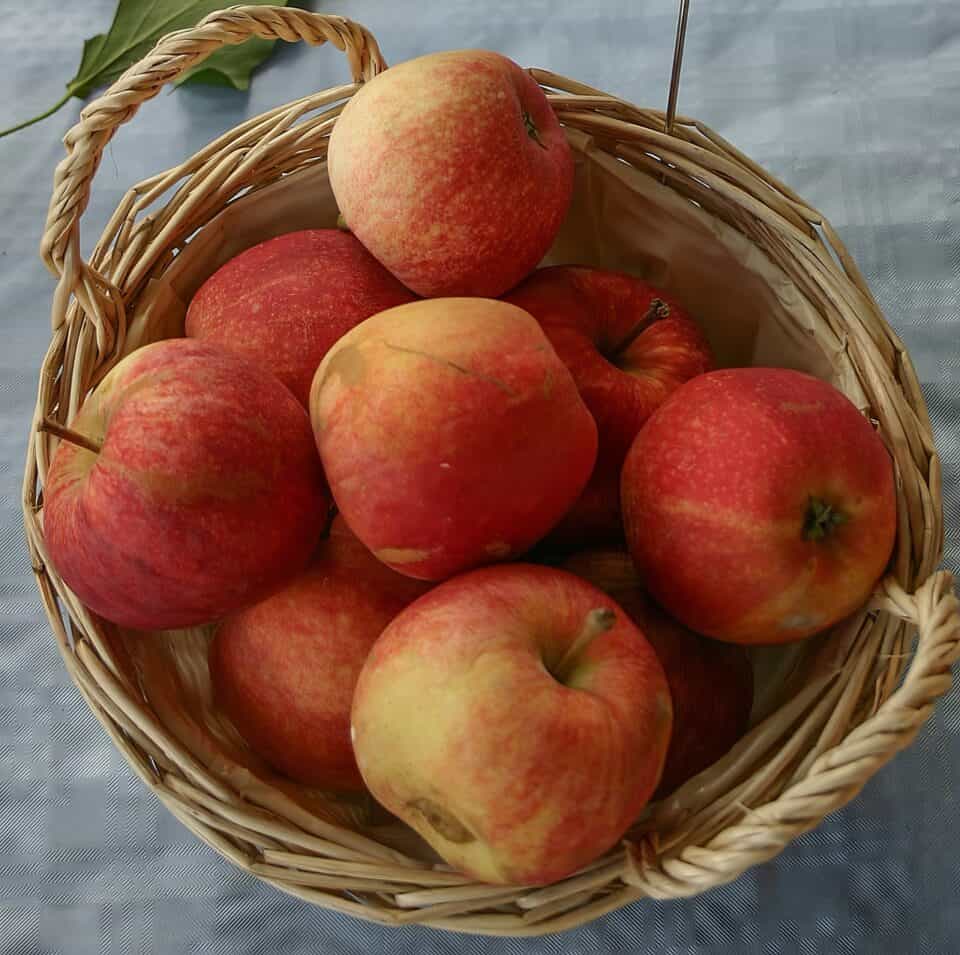 The Gala Apple Taste: A Sweet and Tangy Delight 3 gala apples 1