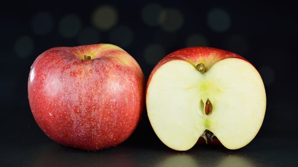 Fuji vs Gala Apples: How Are They Different? 5 gala apples 2