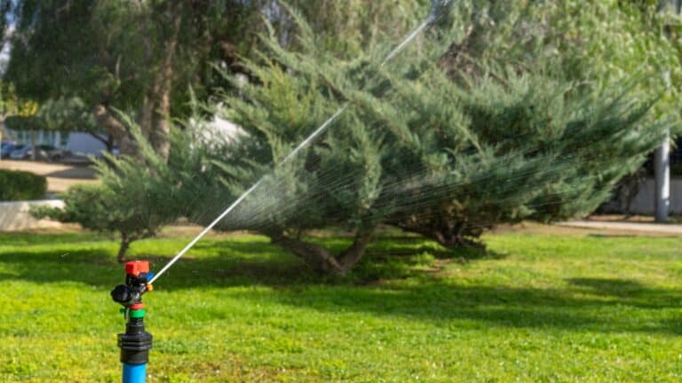 watering lawn