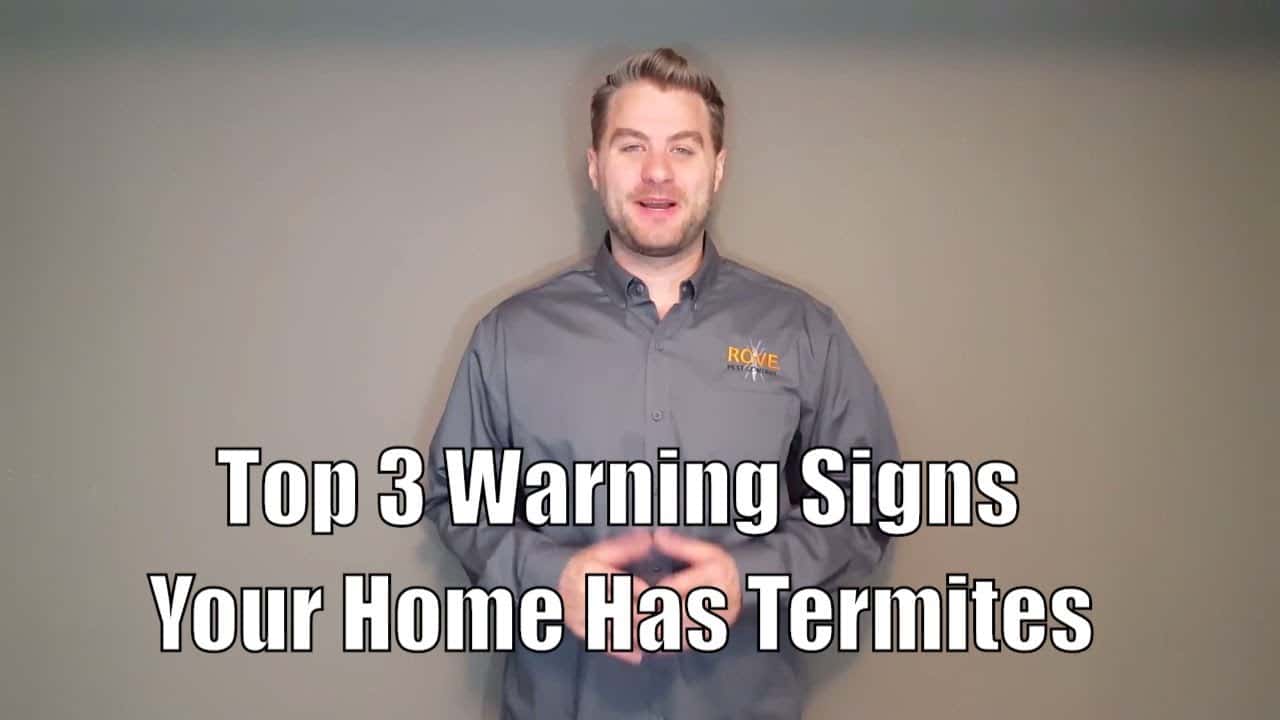 10 Clear Signs You Need Pest Control Services