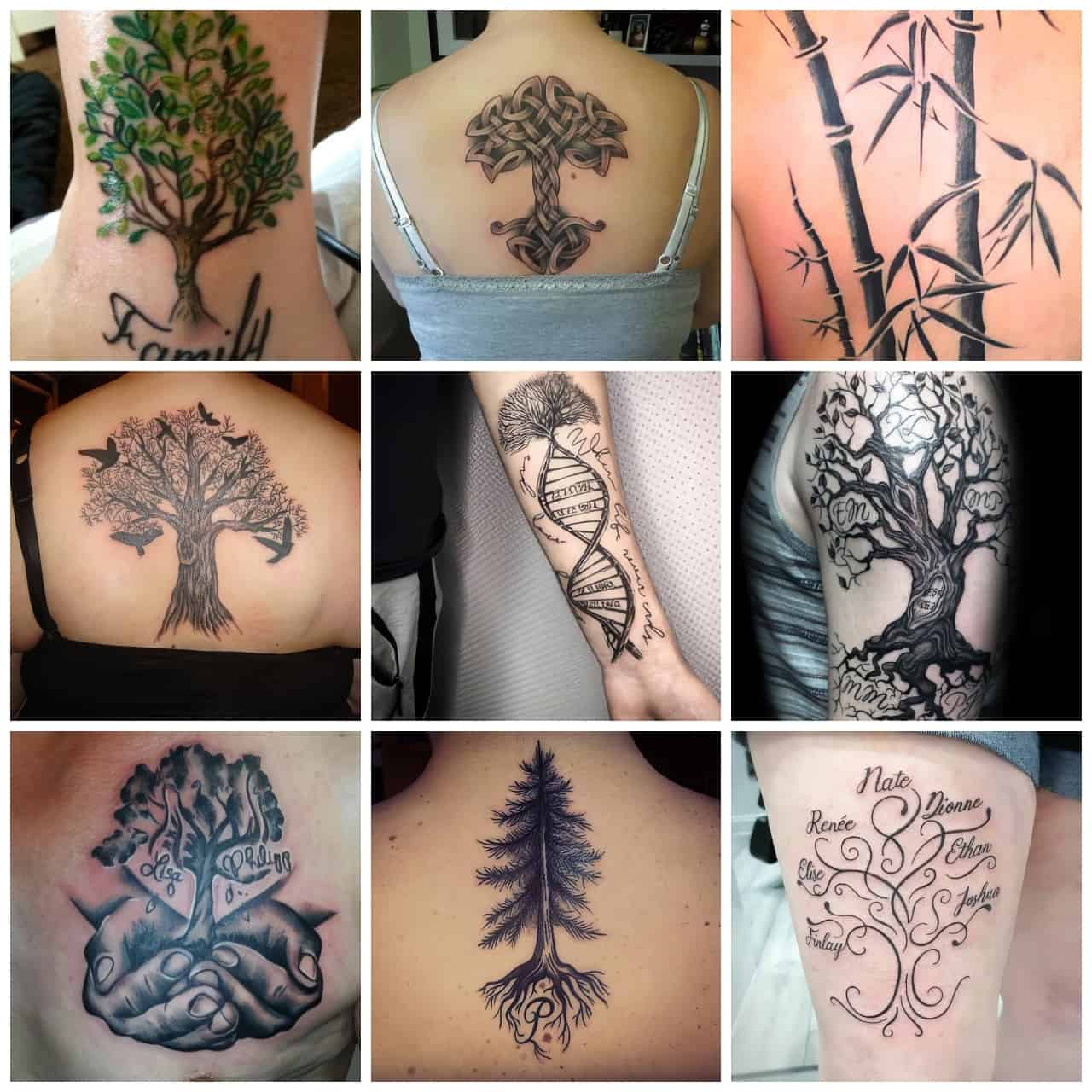 Family Tree Tattoo Ideas