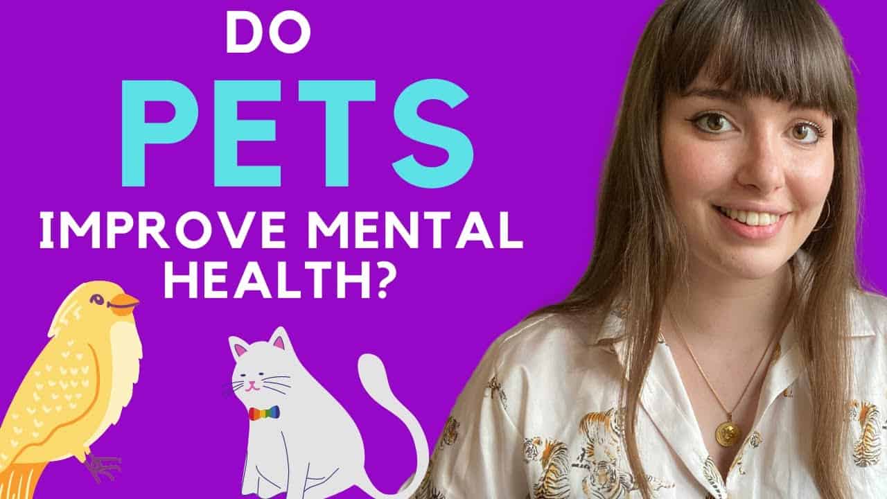 Dogs Are Better Than People: 5 Ways They Enhance Your Mental Health