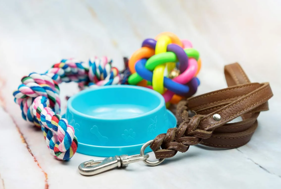 Shopping for Pet Supplies: 6 Mistakes to Avoid 3 image