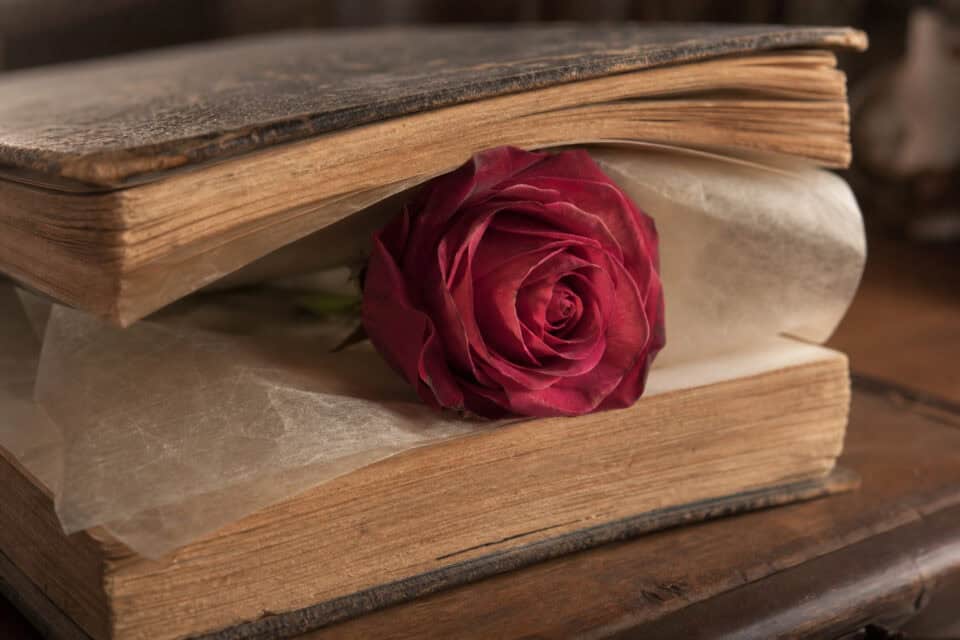 How to Preserve a Rose Bouquet: The Silica Gel Reality 4 Old books with a red rose, vintage literary scene, romantic and nostalgic ambiance.