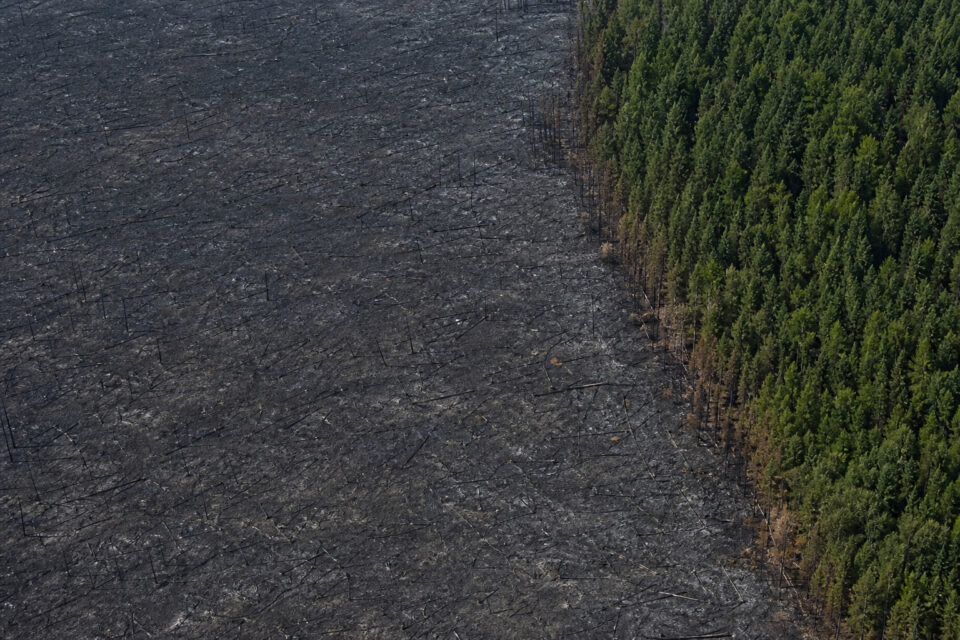 How to Survive a Wildfire: The 8-Times-Height Safety Rule 5 Aerial view of a landscape showing the devastating effects of a forest fire, with a large area of blackened, burnt ground adjacent to a lush, green forest. The image highlights the contrast between de.