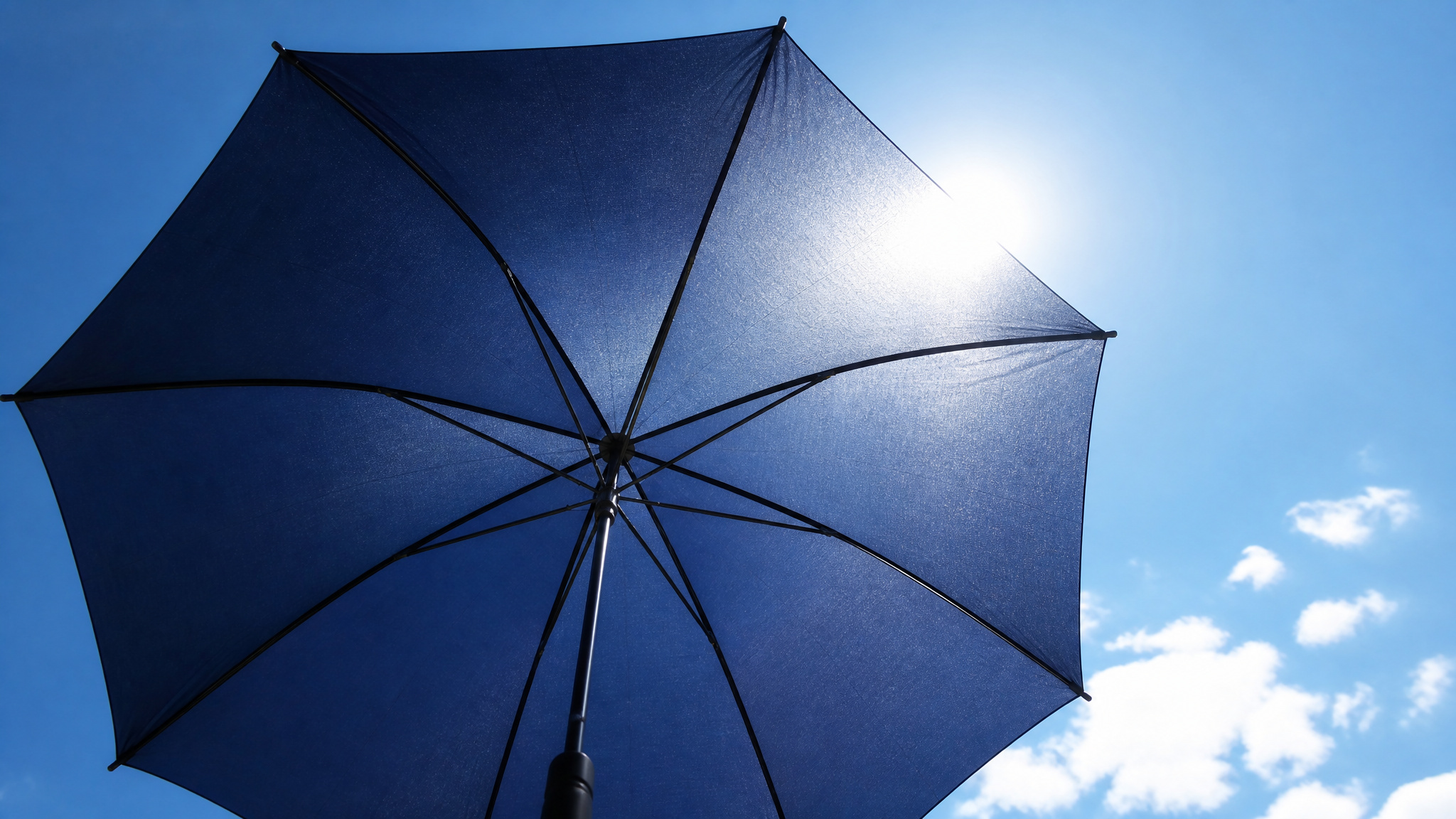 What Can a Whistleblower Report? 5 Protected Disclosures 2 Open umbrella against bright sky representing Whistleblower Protection Act coverage